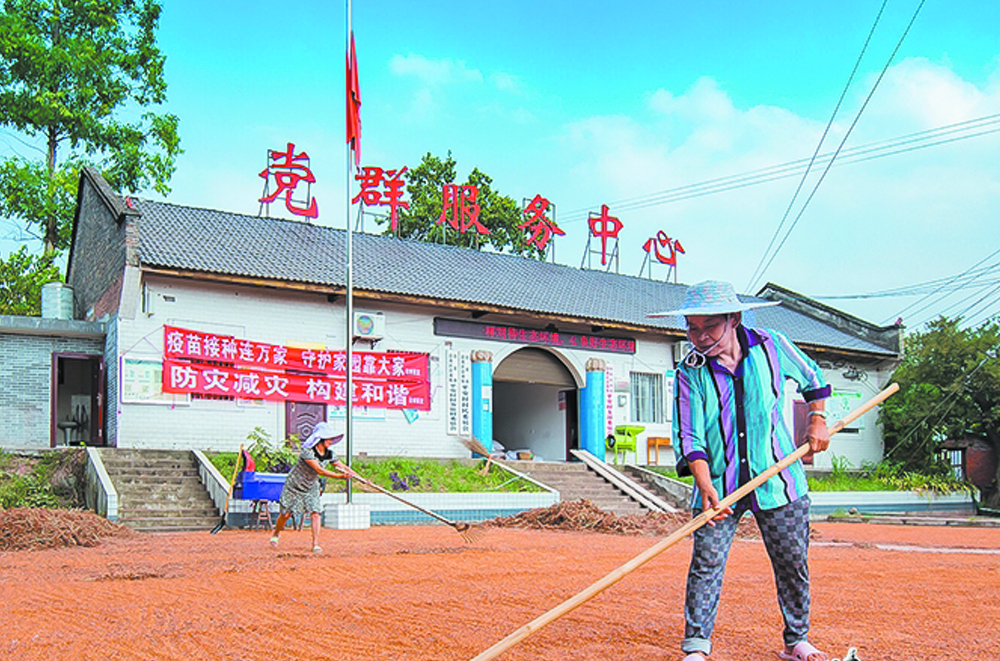 自贡沿滩：高粱熟了村民笑了 平安村高粱产业助推乡村振兴发展