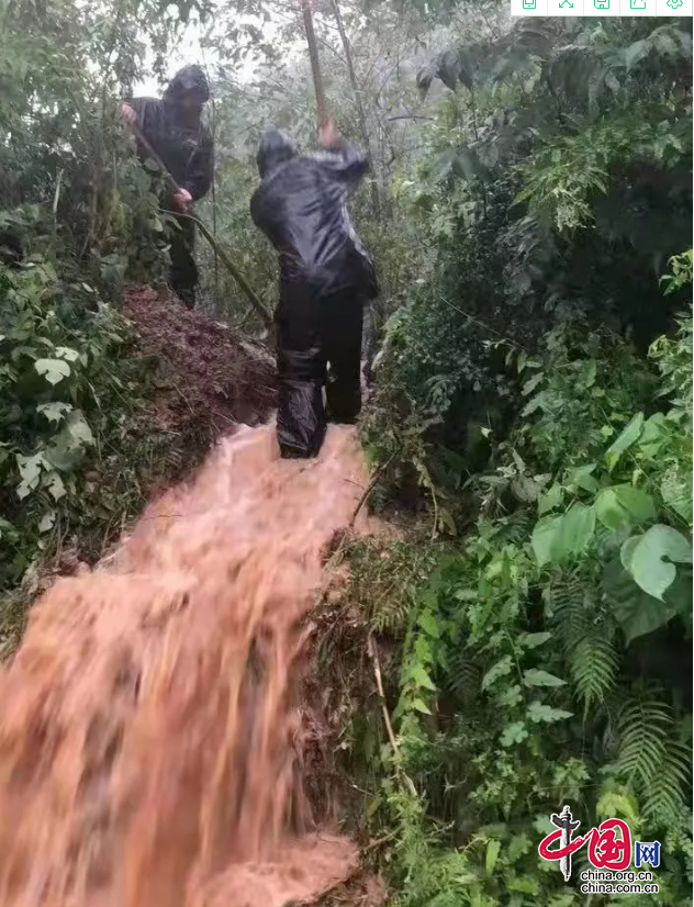 阆中市出现雷电强降雨天气