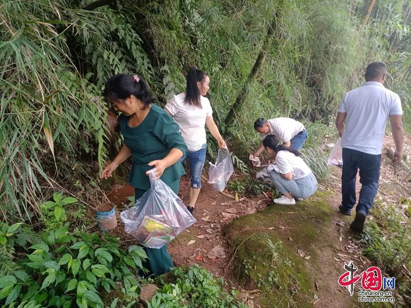 雨城區大深村：農藥包裝廢棄物回收處置出妙招！