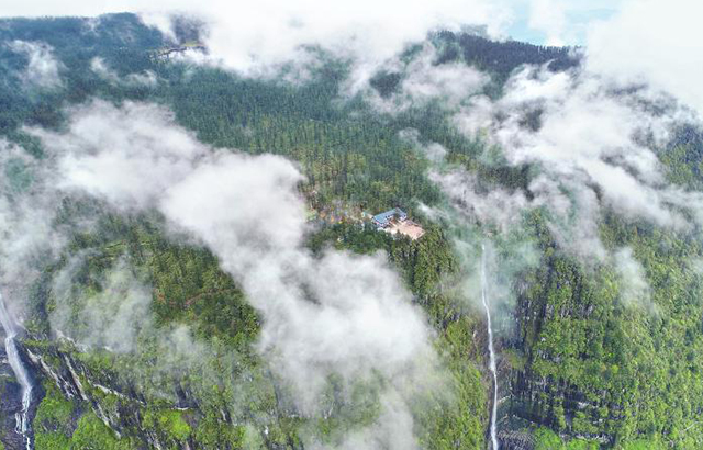 电站矿山退出保护区，为野生动植物“让路”—— 重现的瀑布和登门的大熊猫