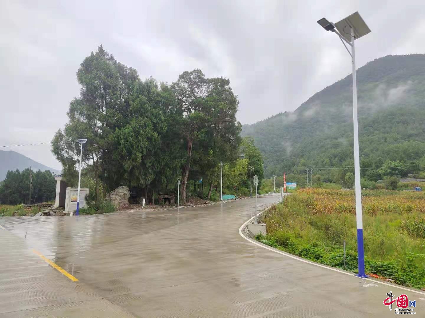 四川平武：崭新的太阳能路灯照亮乡村幸福路