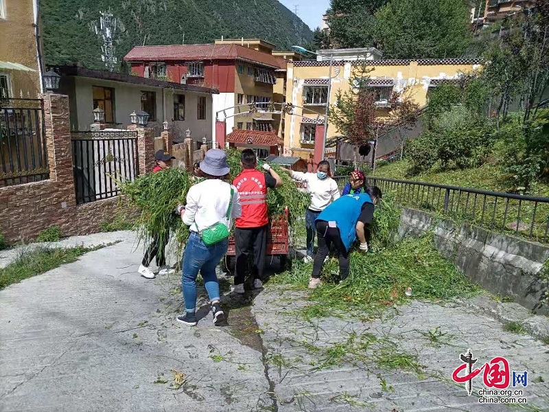 让"三新炉城"成为炉城街道现代化治理新名片 甘孜州 中国网·锦绣