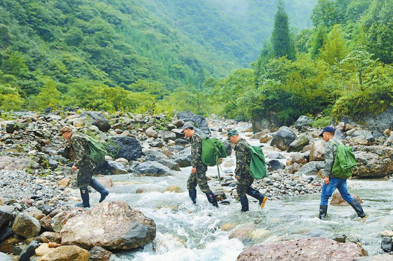 我省推进大规模绿化全川行动 去年底,森林覆盖率超四成