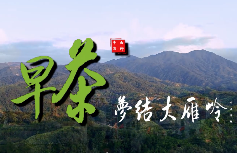【視頻】早茶夢結大雁嶺