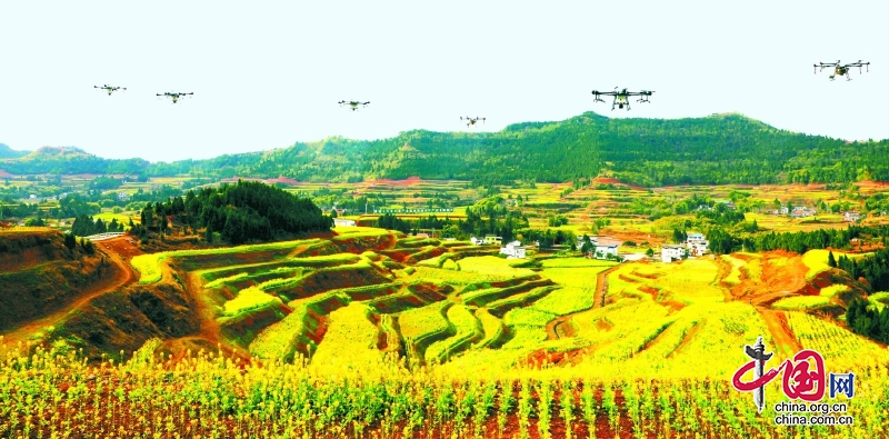 四川西充：打造“中国有机农业第一县”