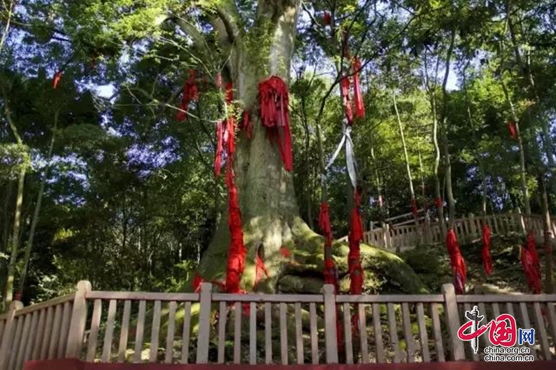 雅安市雨城區後鹽村：“四步法”推進鞏固拓展脫貧攻堅成果同鄉村振興有效銜接