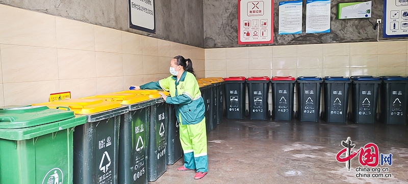 四川自贡：平凡岗位做不平凡的事 劳动模范王丽打造干净整洁的公厕环境