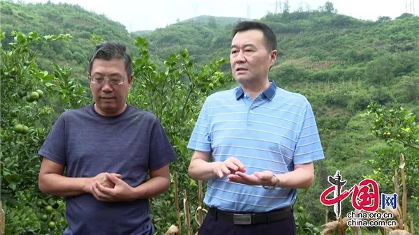 漢源縣：覃建生前往富泉鎮等鄉鎮檢查指導防汛救災和地災防治工作