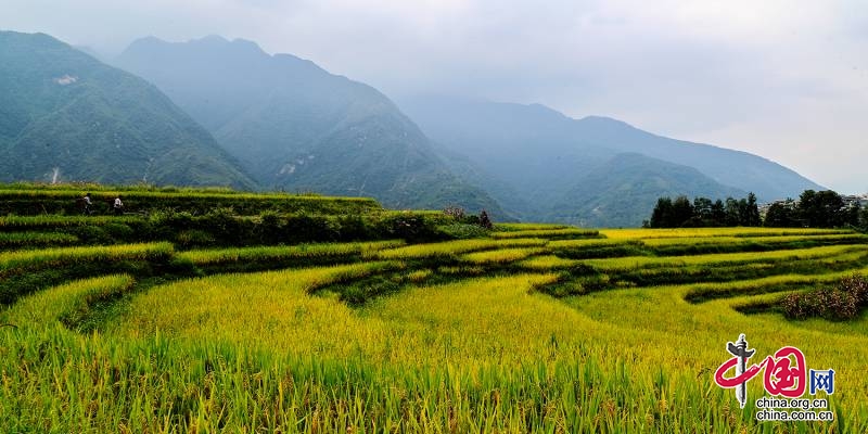 四川省峨邊縣：秋行峨邊 “豐”景獨(dú)好