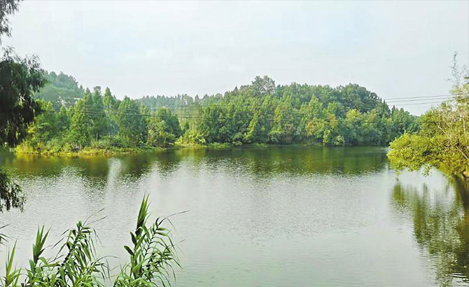 找准源头消除隐患 安岳修复观音寺水库生态环境