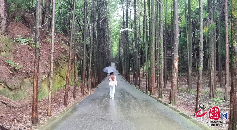 四川蒼溪：“紅+綠”模式扮靚革命老區(qū)振興發(fā)展底色