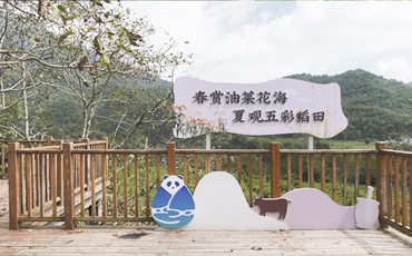 平武：小长假乡村旅游火爆 透出乡村振兴“绿”底色