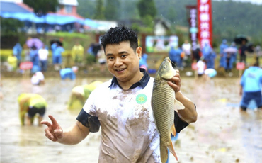 广元昭化：一水两用成效大  稻香鱼跃双丰收
