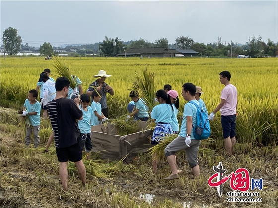 四大主題活動慶豐收 2021年天府新區(qū)農民豐收節(jié)圓滿舉辦