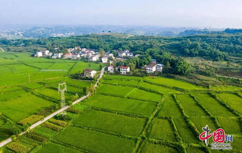 广安区现代农业发展的“嗖嗖嗖”！