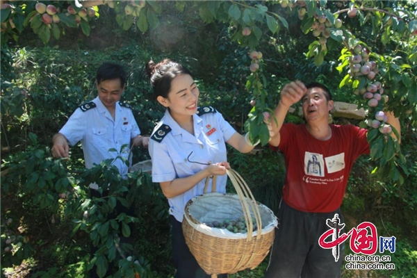 漢源稅務：促建美麗鄉村 助力振興之路