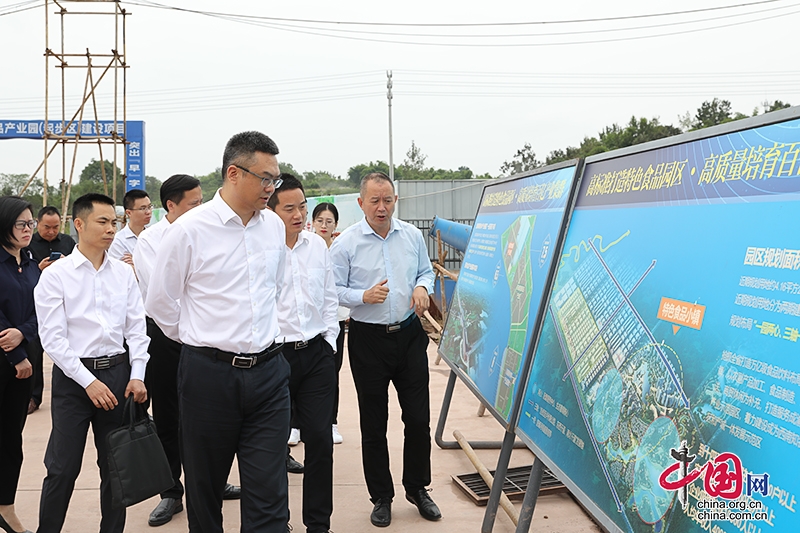 自贡市沿滩区委书记刘军调研沿滩高新技术产业园区工作