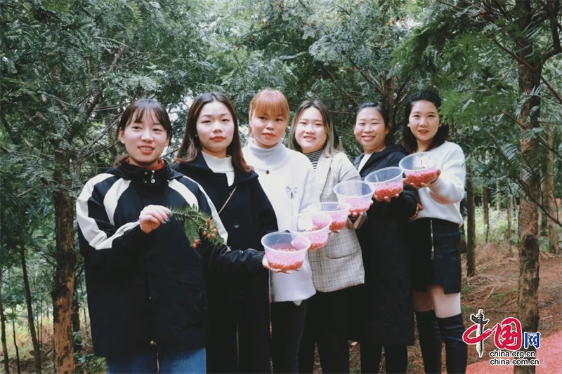 醉氧龍湖水香｜紅豆杉採摘計劃 逃離城市養生之旅