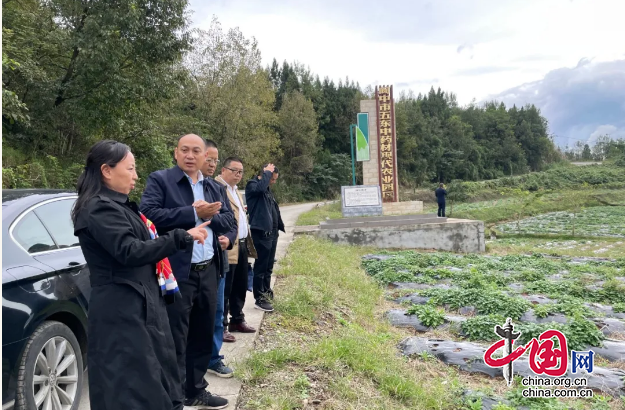 四川省专家组到阆中市开展省中医药健康旅游示范基地考核验收工作