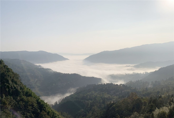 雅安：賞綠水青山之美 享森林康養之樂