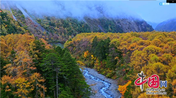 雅安石棉：層林盡染秋意濃