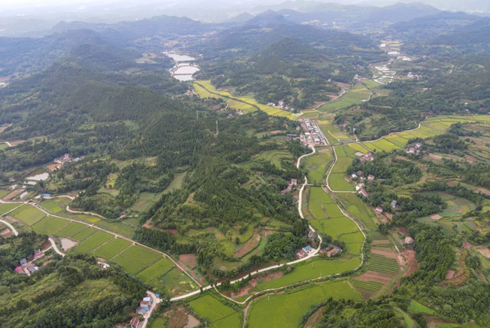 遂宁仁里镇亿禾村：激活内生动力 让村民生活更有滋味