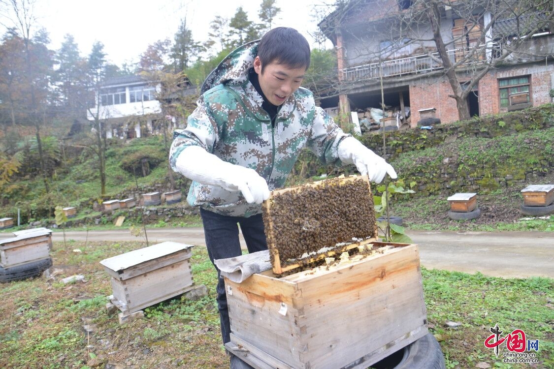 廣元朝天：大山深處90後夫妻釀出“甜蜜事業”