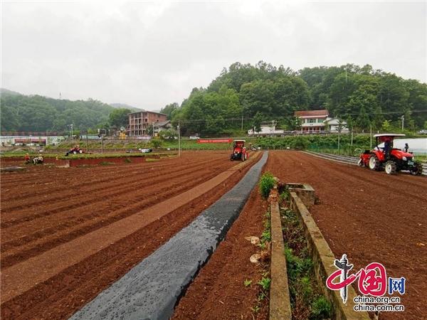 廣元朝天：破解山區機械化難題 助推特色産業全面提升