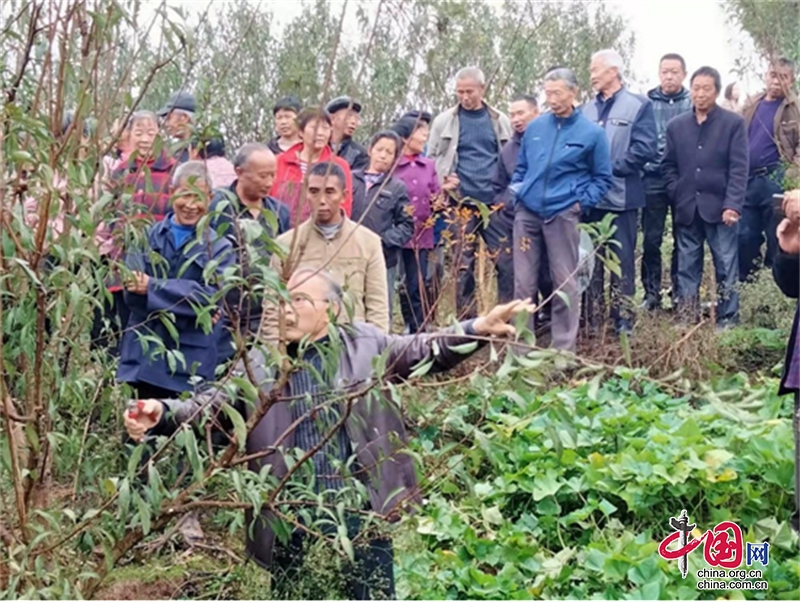 瀘州市江陽區(qū)分水嶺鎮(zhèn)組織開展蜂糖李管護培訓(xùn)