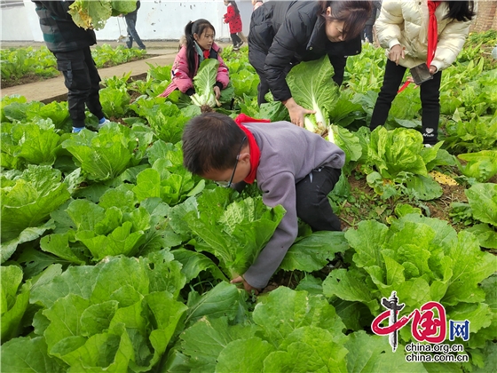 綿陽市戰旗小學開展“感受豐收喜悅 共用勞動成果”勞動實踐活動