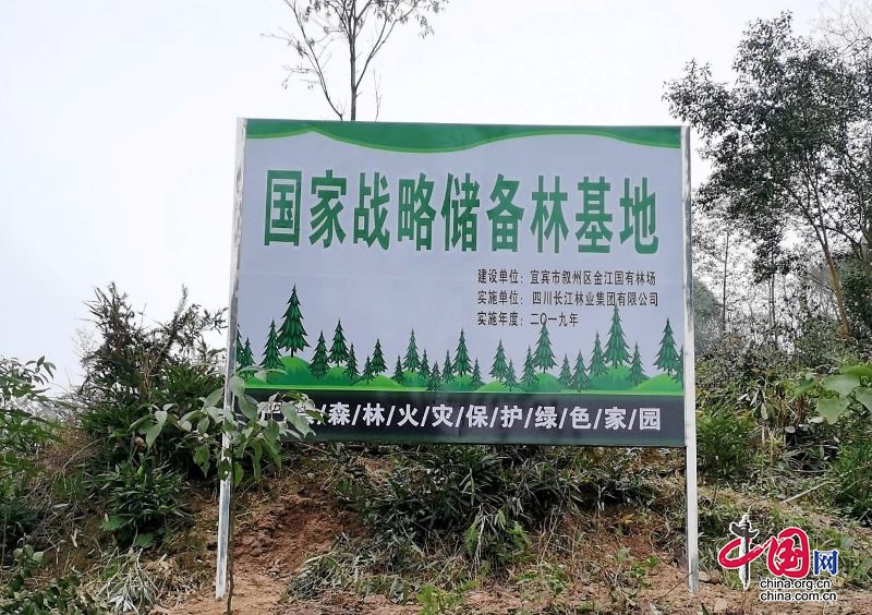 叙州区金江国有林场2021年度国家储备林建设项目顺利通过区级验收