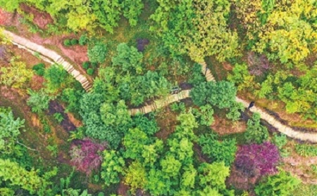 梁平：火焰山公園建成 市民休閑又添好去處