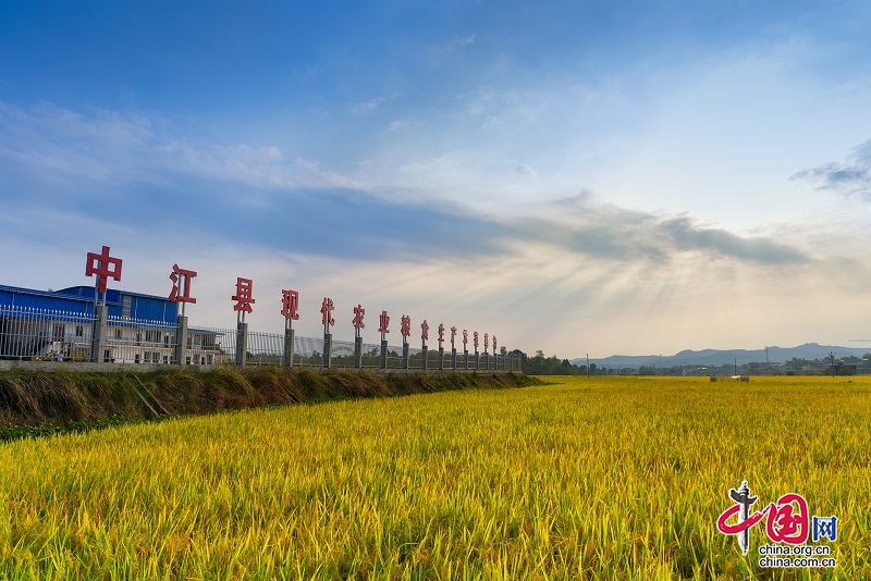 德阳中江上榜全国首批创建农业现代化示范区名单