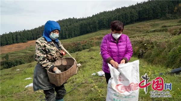 天全縣人大代表王全芳：想村民所想，解村民所憂