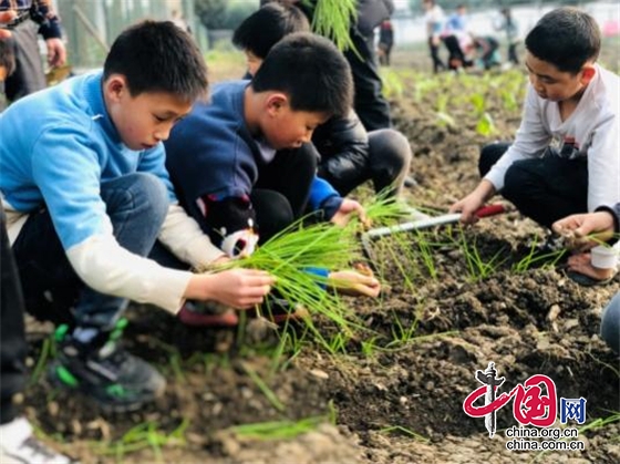 綿陽市安州區河清鎮迎新小學利用延時服務開展勞動實踐活動課