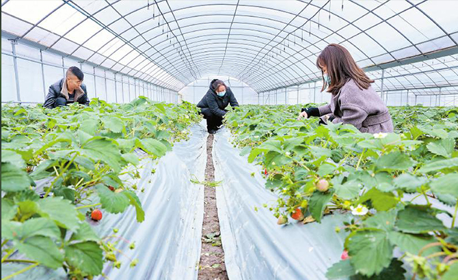 雅安今年完成水土治理面积近127平方公里