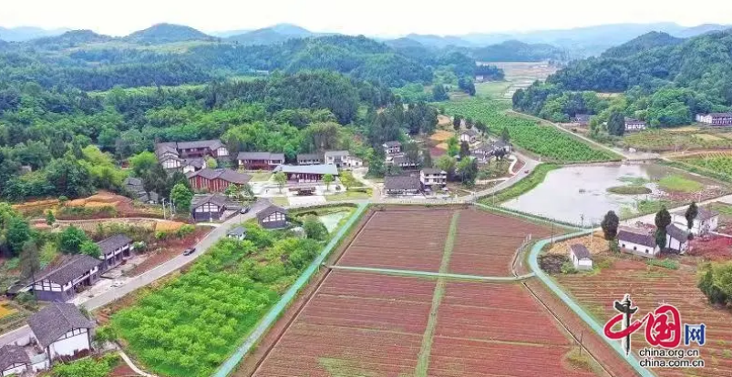 西充县义兴镇有机村入选“2021年度全国十大最美乡村”