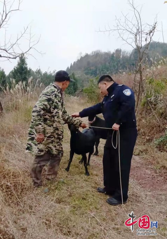 村民丟了2只羊 民警3小時尋回解其憂