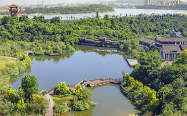 张坝桂圆林景区认定为中医药健康旅游示范基地