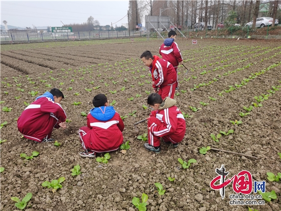 綿陽市文化街小學開展勞動基地種植活動