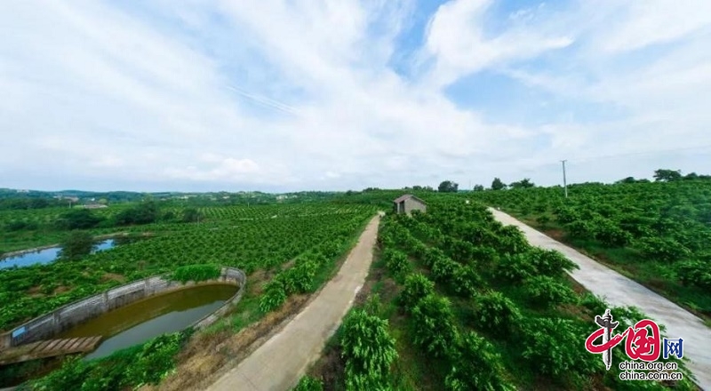 助推乡村振兴!简阳兴隆村探索农旅融合一三产业互动发展模式