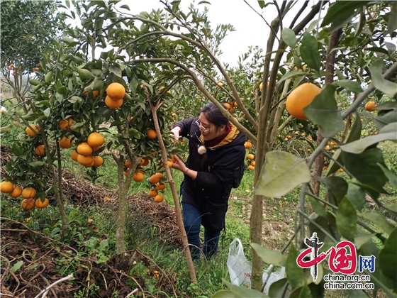 我為群眾辦實事 綿陽市安州區界牌初中黨支部點滴見初心 小事暖人心