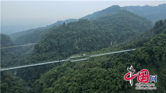 解鎖竹海觀景新視角 天府川西竹海景區(qū)高空全景走廊亮相