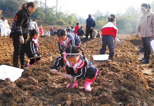 梁平:把課堂搬進(jìn)廣袤田園