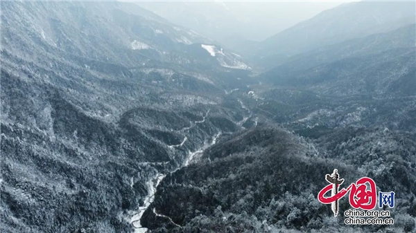 踏雪寻“猫”，9年风雨巡护路