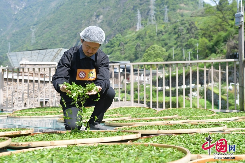 汶川：從“實(shí)”出發(fā)有效銜接脫貧攻堅(jiān)和鄉(xiāng)村振興工作