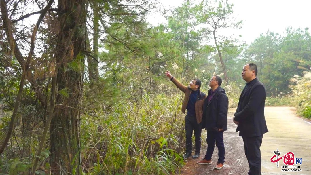 【生態環保】川渝共攜手 聯防聯控林業有害生物