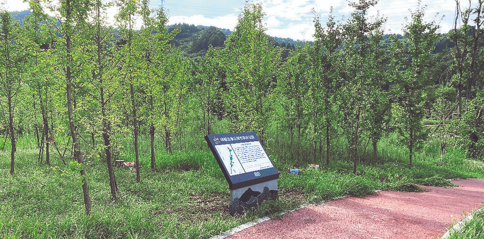 龙泉山城市森林公园生态核心保护区边界进一步明晰 设立界桩600个 告示牌90个