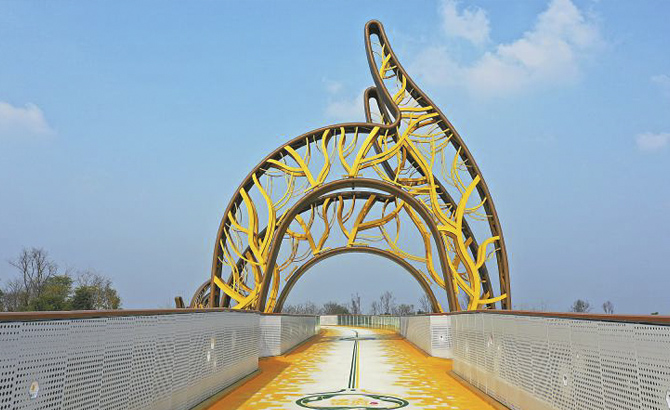 揭秘成都“银杏大桥”——成安渝桥的“树洞”是这样建成的