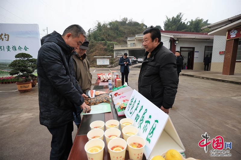 宜賓翠屏：把鄉村振興招商引資推介會開到村上去